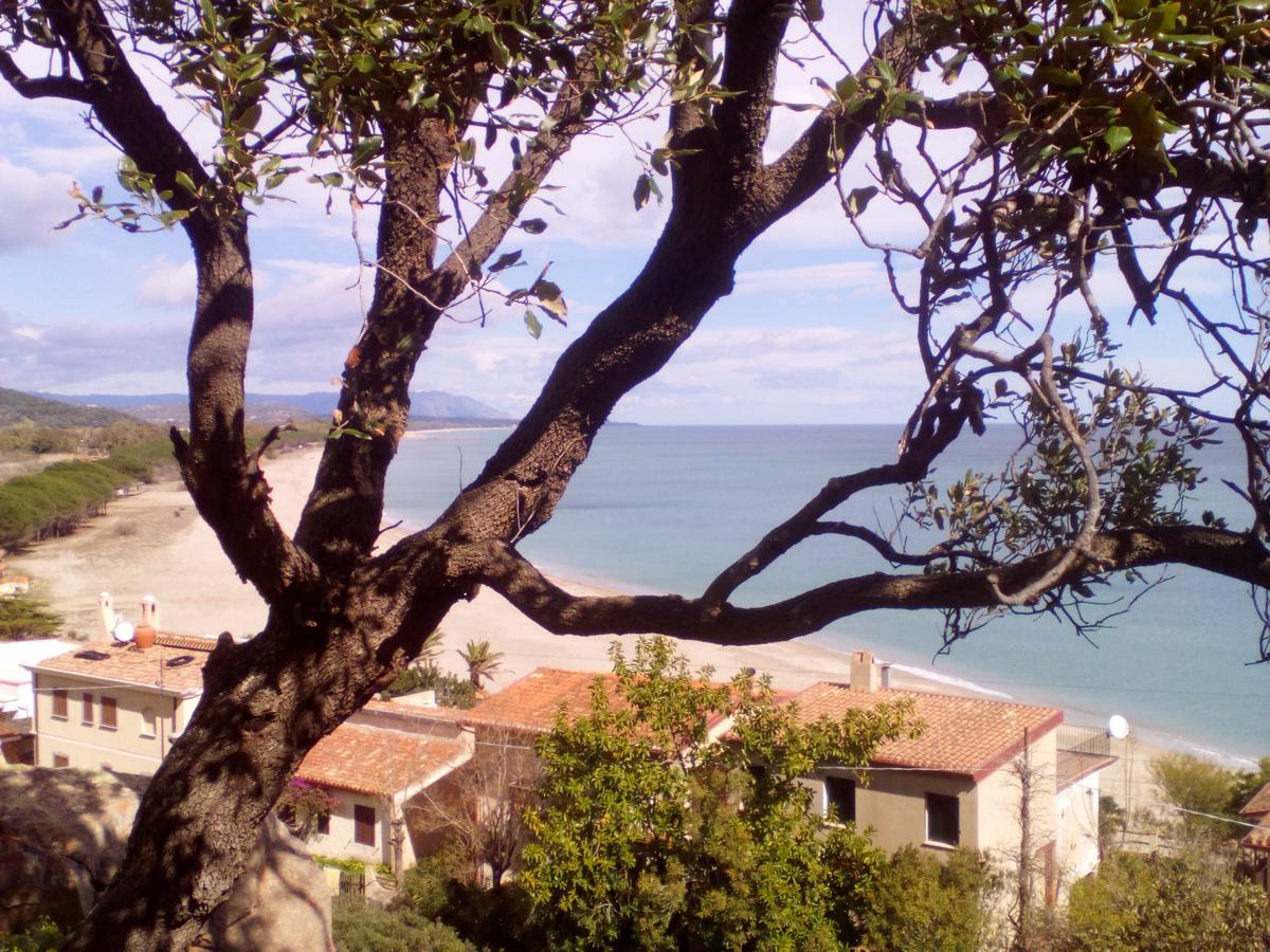 B&B Sa Funtana Cardedu Extérieur photo